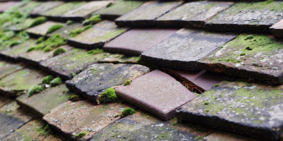 Holyhead roof repair costs